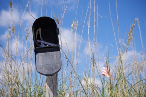kindred spirit mailbox photo